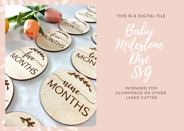 Baby Milestone SVG, Monthly Milestone for Baby Cut File, Cricut Silhouette cut files SVG